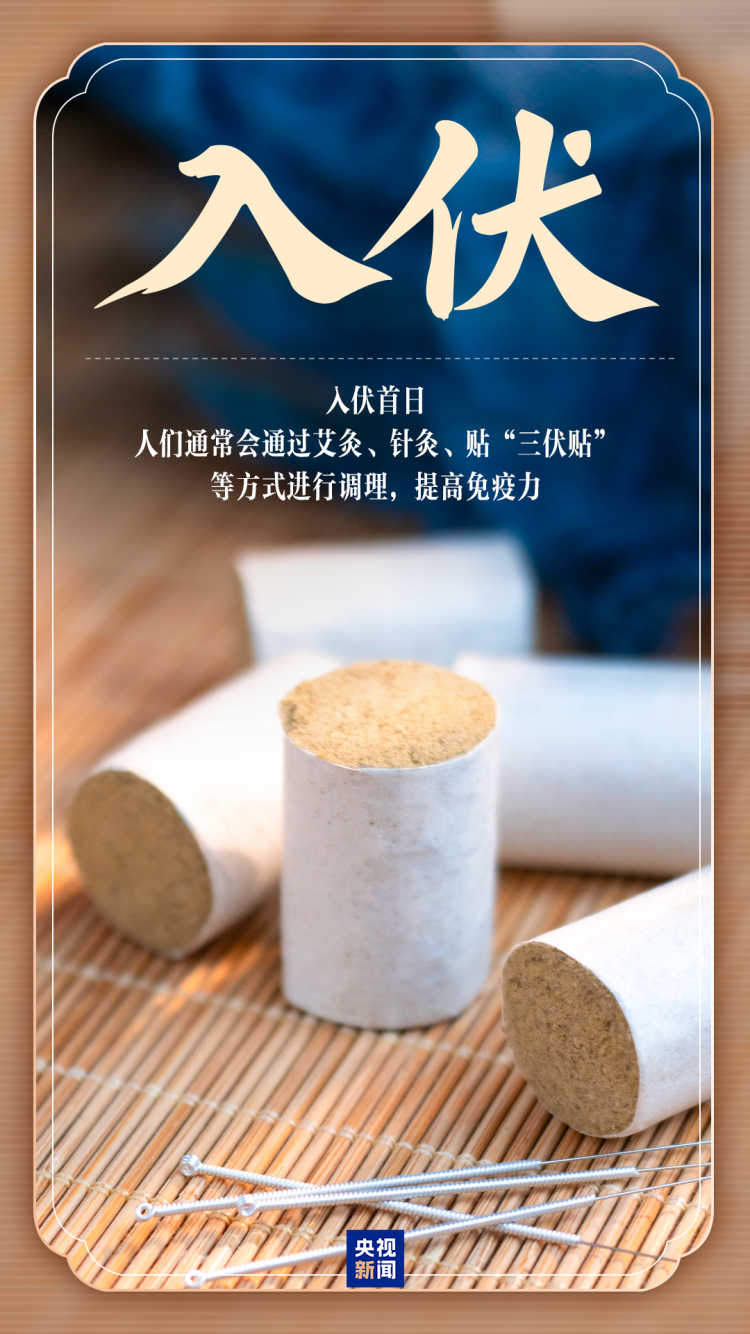 入伏了！30天的三伏天怎么过？快收藏避暑攻略→