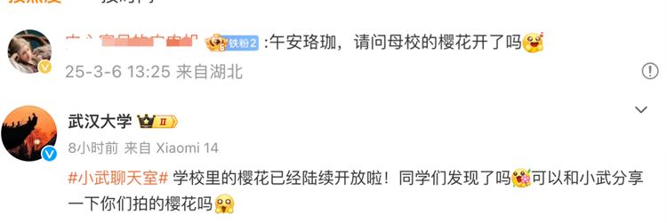 春日限定浪漫！没有什么是这些花不能治愈的
