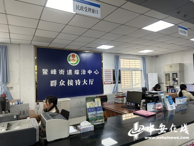 2025政法综治江淮行 | 从“多扇门”到“一扇门”，看宣城之变_fororder_2