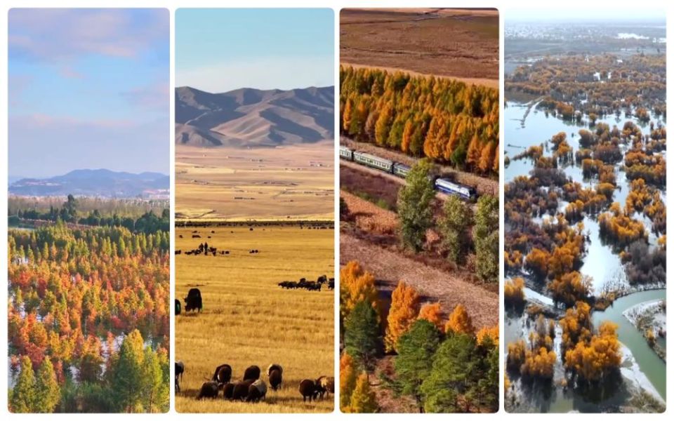 文化中国行｜赏秋正当时！“文旅+”新业态为秋日经济注入新活力