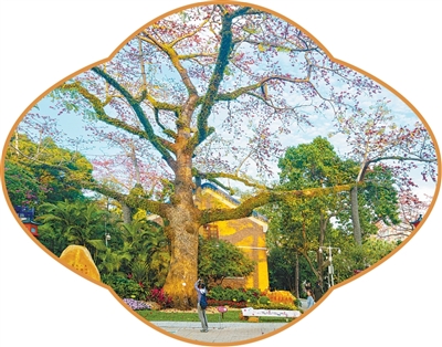 绿色文旅：一路新，一路美（我的绿色低碳春节）