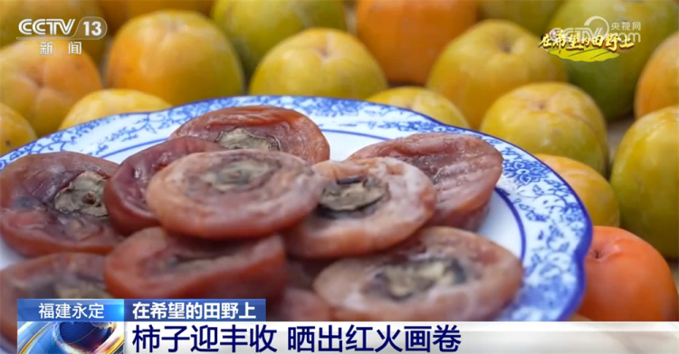 广袤乡村绘就金秋九月好“丰”景 农业现代化成为百姓增收致富“密码”