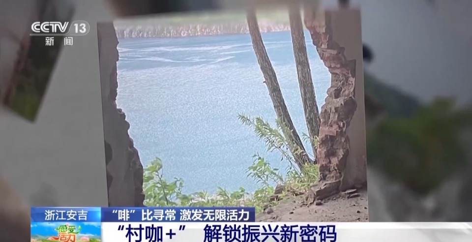 不产咖啡豆的浙江安吉 为啥有这么多“村咖”？