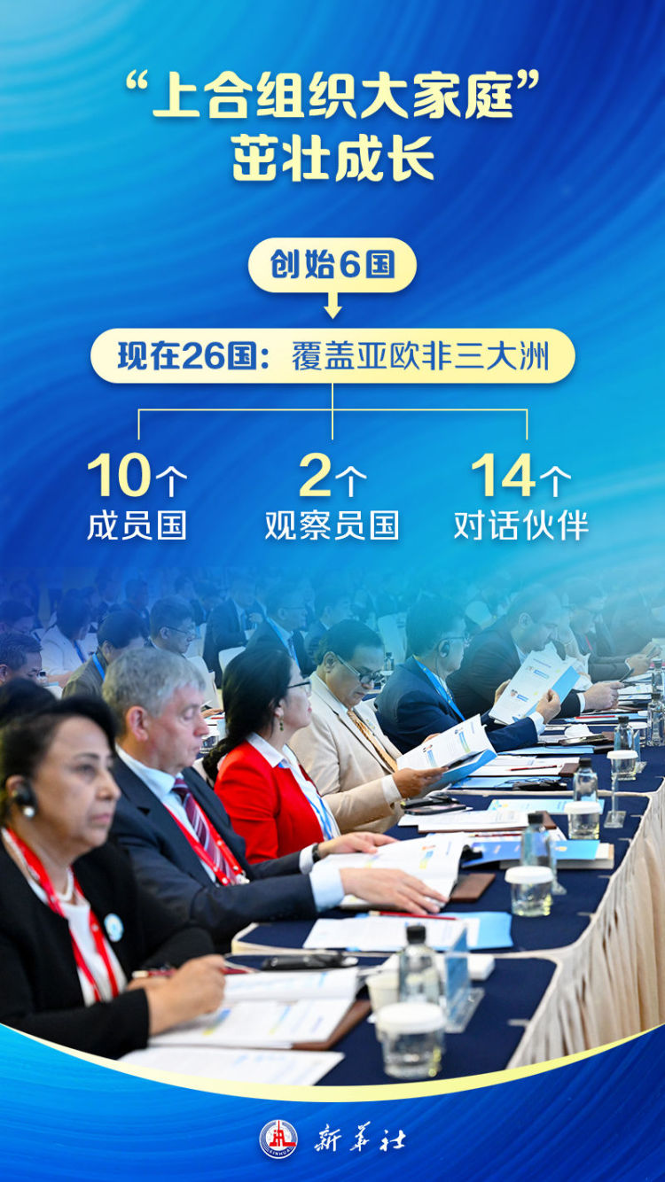 海报｜上合来了！