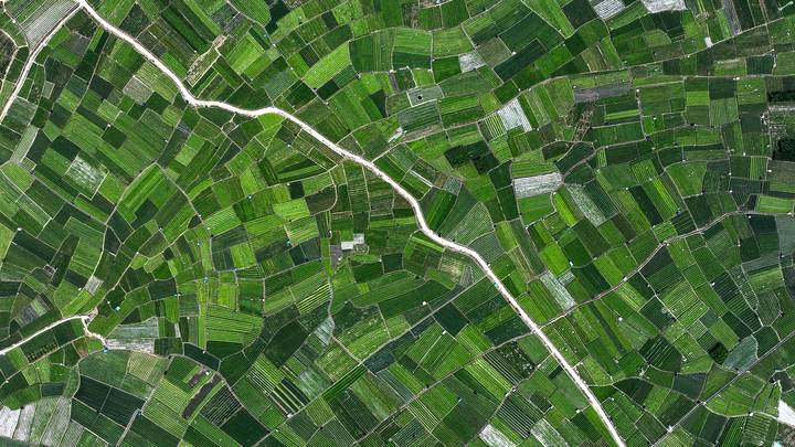 宝藏之城丨这座小城的茉莉花香飘世界