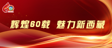 辉煌60载 魅力新西藏_fororder_370(1)