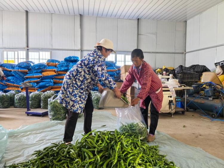 四中全会精神在基层 | “三股绳”拧成一道力