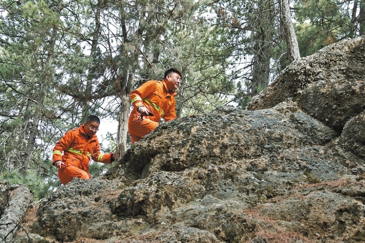 阿拉善：贺兰山封育保护25年 林草植被覆盖度达80%_fororder_4307537_an_1762408155505_s