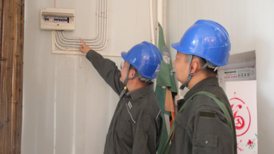 Nanyang, Henan: One-to-One Services Support Grape Industry Development