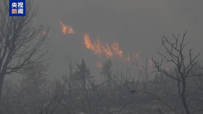 视频丨欧洲高温天气持续 多国山火肆虐