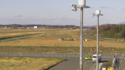 日本岩手县一机场出现野熊 导致航班暂停起降_fororder_7238b8024e1a443db819393ab18ca01b