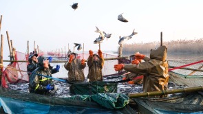 安徽五河：天井湖迎来冬捕季