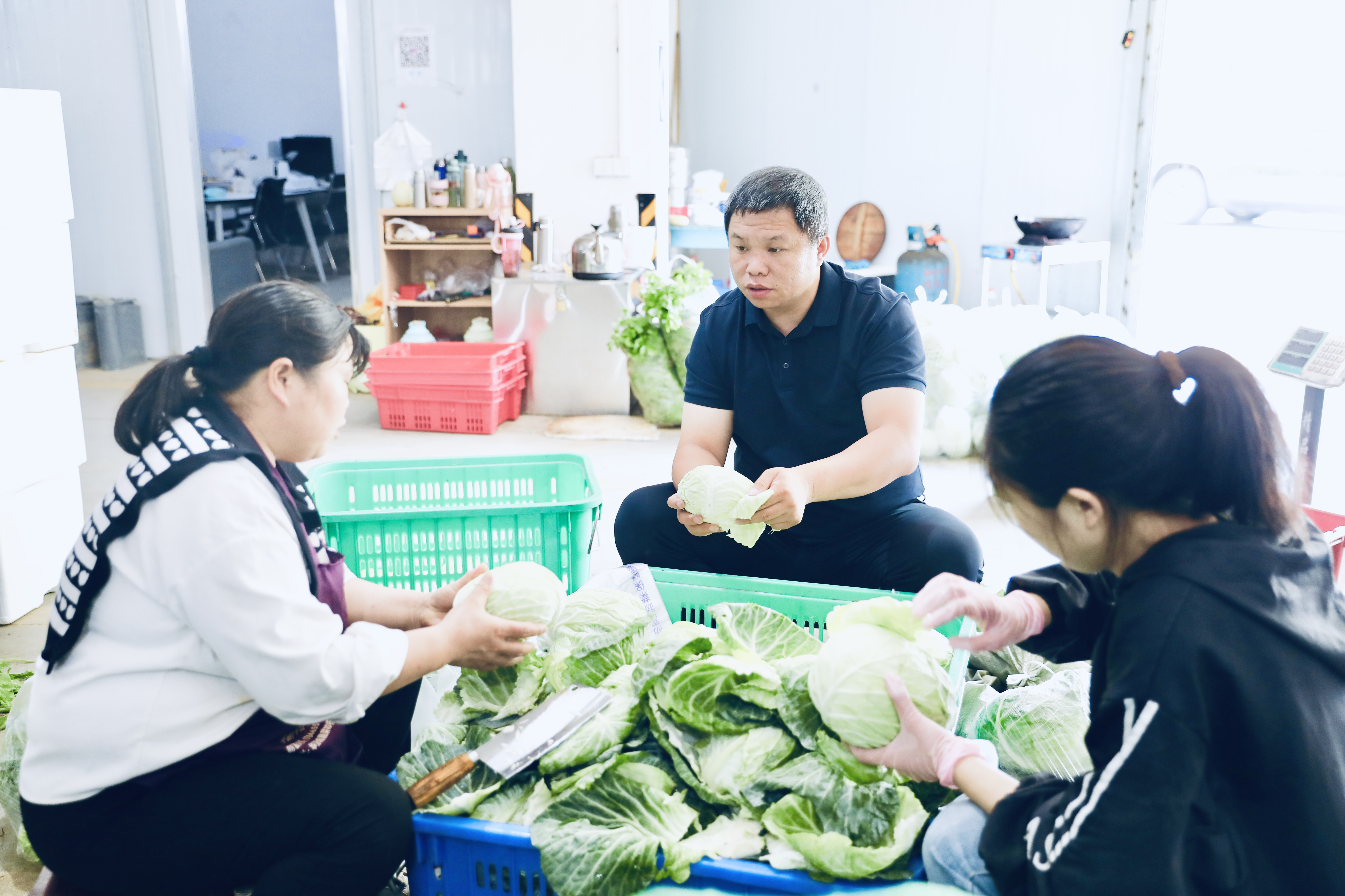 荒坡变 “金坡” “头雁”带头人王镇的蓝图美景_fororder_图片2