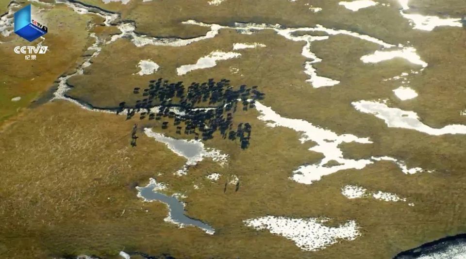 溯源母亲河!《黄河之歌》今日首播,共赴千年文明之约