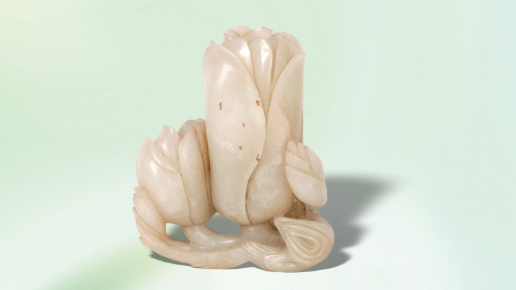 文化中国行·文博日历丨早春玉兰开 一起到全国古迹去追花（附打卡攻略）