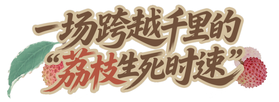 总台周末看点 | “荔”争上游！