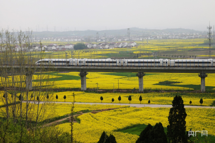 发现最美铁路丨铁龙穿梭，织就粤东最美画卷