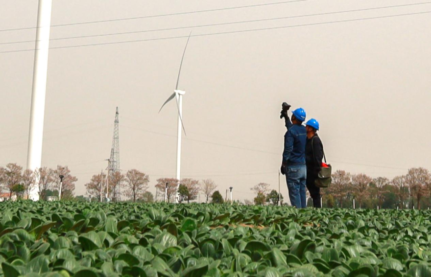 Jiaozuo, Henan: High-Quality Power Supply Ensures Early Market Availability of Vegetables_fororder_图片2