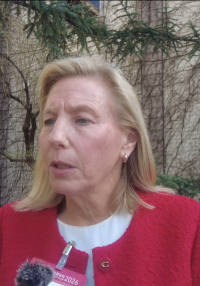 高乔安_fororder_企业微信截图_1774593549213