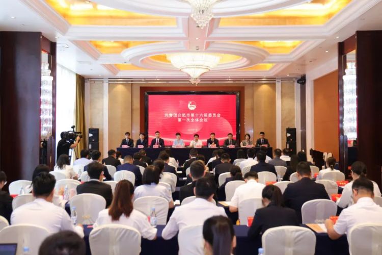 共青团合肥市第十六届委员会第一次全体会议召开_fororder_640