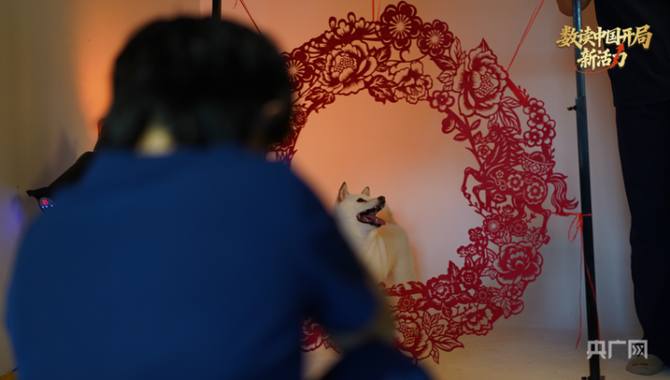 数读中国开局新活力 | 规模已超3000亿！宠物过年成春节消费新爆点