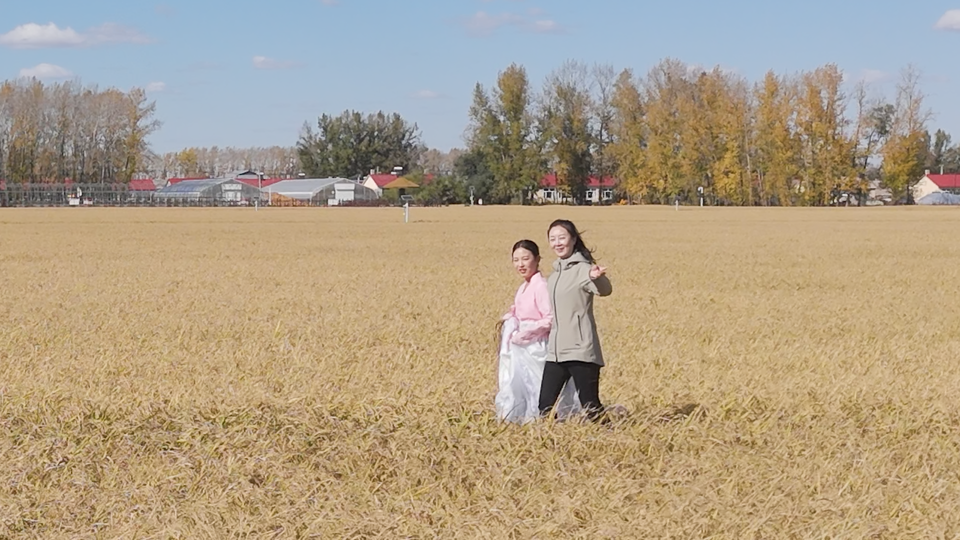 【你好，小镇】黑龙江星火：稻香聊源
