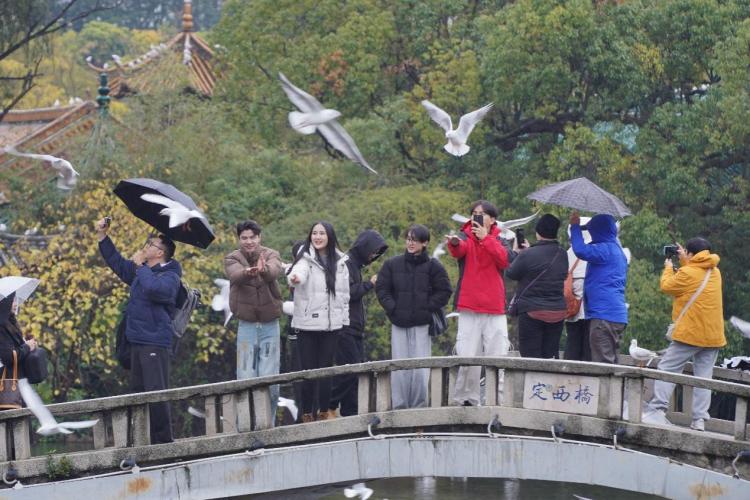 以脚步丈量，用镜头传播：他们成为和美云南“海外代言人”