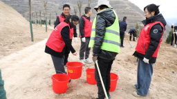 天水甘谷：绿满大像山 情系生态梦