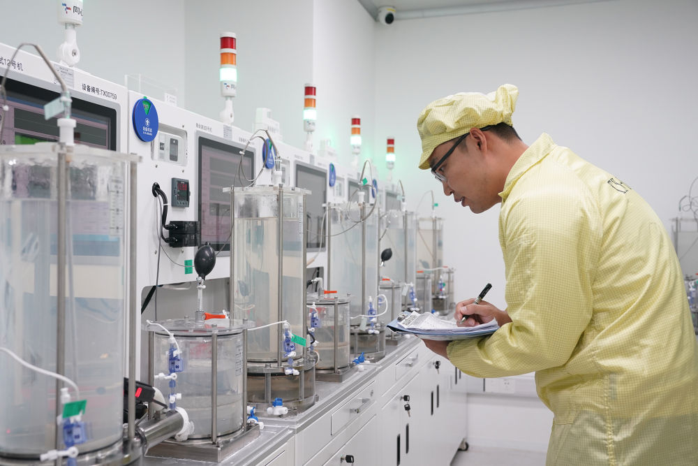 新华社政论：夯实基础全面发力，推进中国式现代化行稳致远——写在“十五五”规划纲要启动实施之际