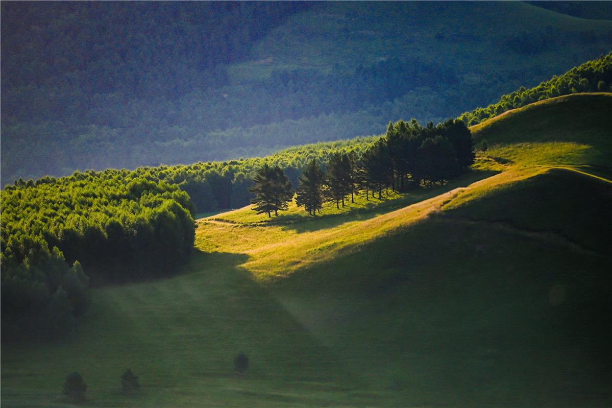 内蒙古牙克石：免渡河国家湿地公园景色如画
