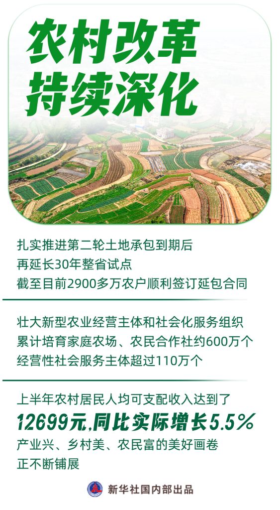 农业农村“半年报”发布，这些看点值得关注