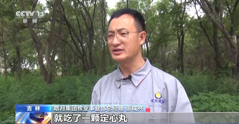 一线调研丨带动21.5万农户养牛致富 这家民企如何牵住“牛鼻子”？