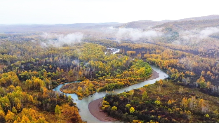 Inner Mongolia's Greater Khingan Range Welcomes "Golden Autumn" as Ecotourism Sees a Boom_fororder_图片25