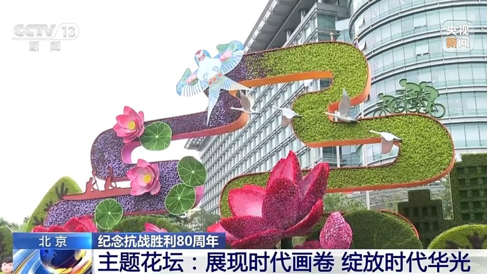 10组主题花坛亮相长安街沿线 纪念抗战胜利80周年