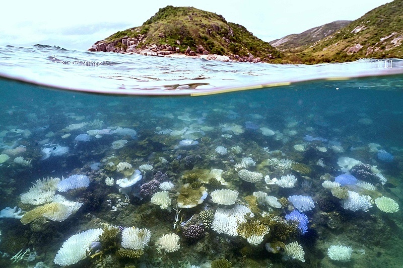 地球二氧化碳浓度再破历史最高纪录 将带来哪些影响？
