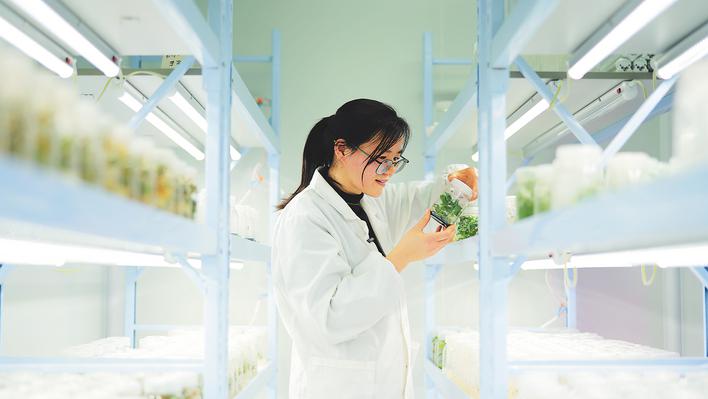 合肥科学岛上 有一间“植物工厂”