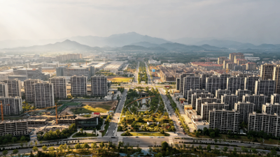 What Makes a Home: 'Low-Barrier' Settlement Experiment of a Small Town in Central Zhejiang