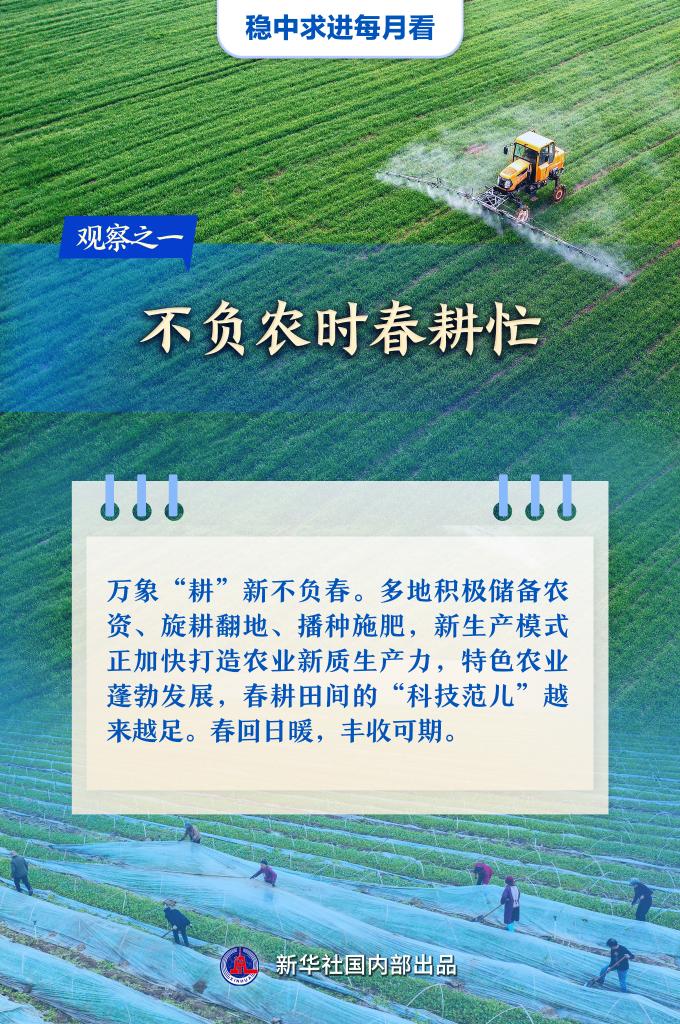 稳中求进每月看丨春潮涌动奋楫行——3月全国各地经济社会发展观察