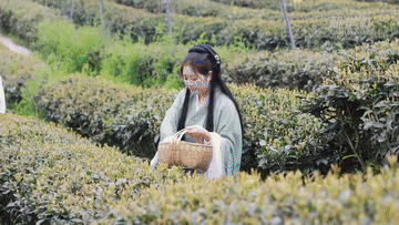 春日经济一线观察丨舌尖春味 激活消费新潜力