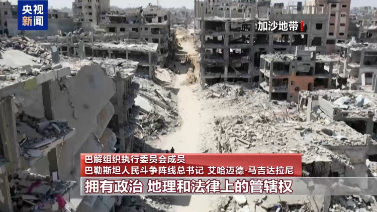 总台记者专访丨巴解组织高级官员：哈马斯回应“20点计划”是负责任做法