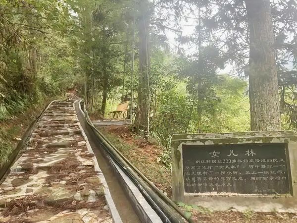 【理响中国·一线探新】福建龙岩：文明新风润乡土