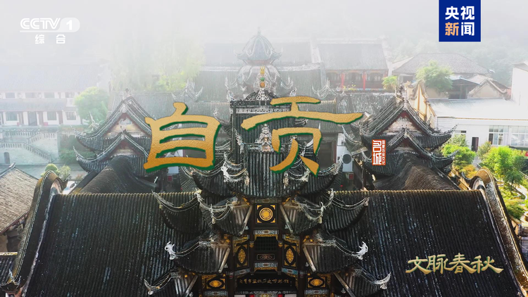 从亿万年沧海遗珠到千年盐都的四川自贡