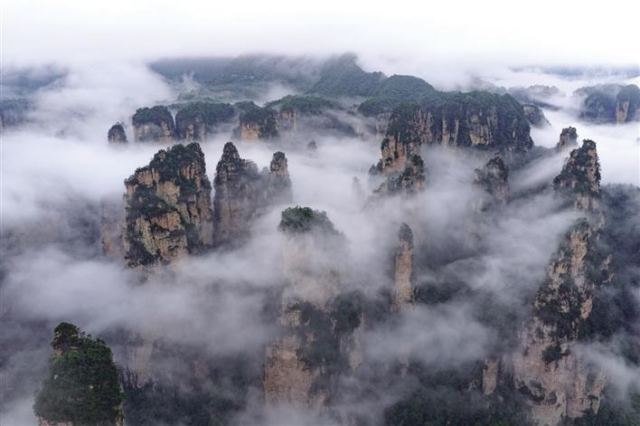 图片默认标题_fororder_4