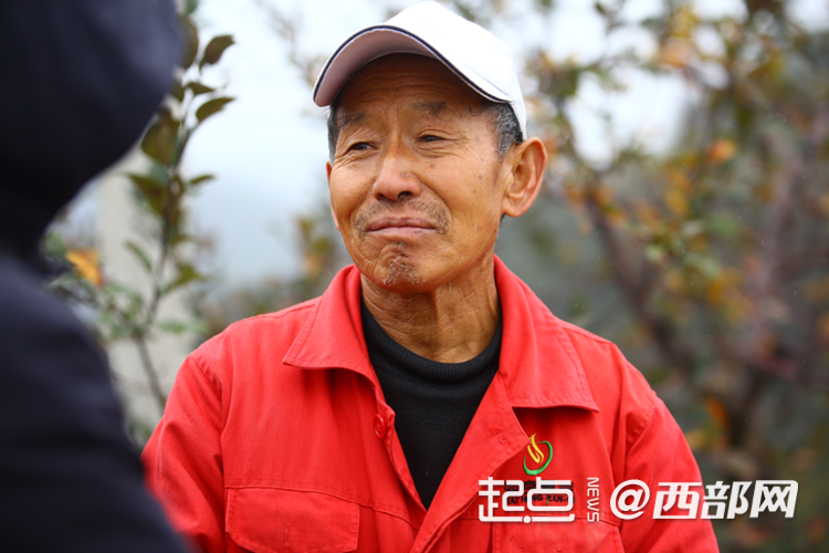 延安市安塞区南沟村：山沟沟里的苹果别样红_fororder_3