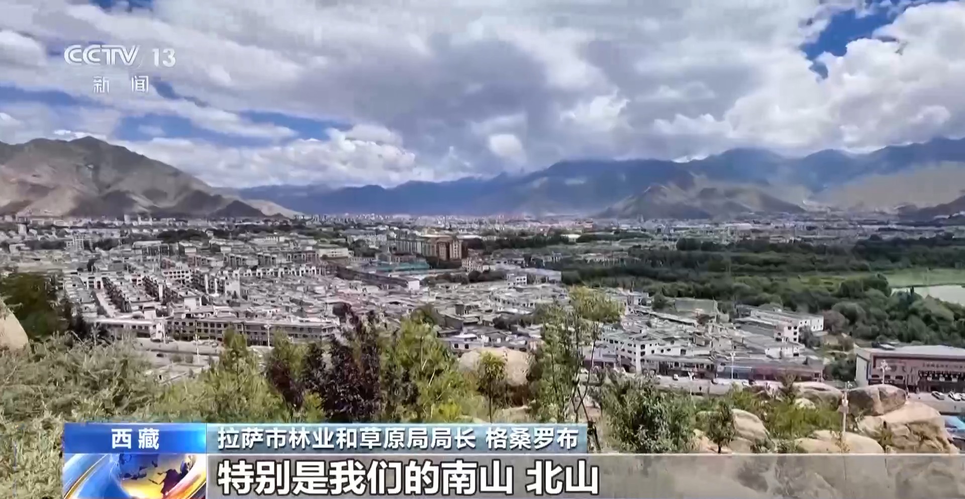 4年栽植苗木1.2亿多株 看拉萨高原如何披“绿装”