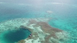 国际锐评｜菲律宾借海闹事破坏不了中国东盟合作大势