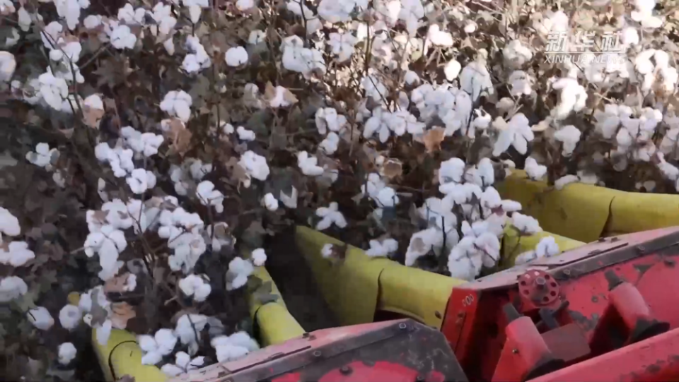 新疆：机械化为棉田生产赋能