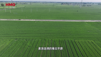 开局之年看中国丨零关税落地！来河南喝一杯非洲咖啡
