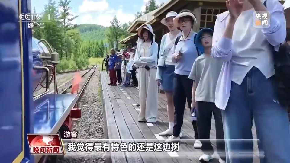 看见美丽中国丨停伐十年 看“绿色宝库”大兴安岭的转型路→