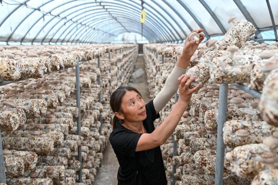 铭记历史 缅怀先烈丨山河回响